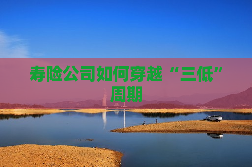 寿险公司如何穿越“三低”周期