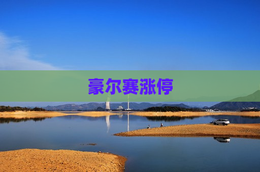 豪尔赛涨停