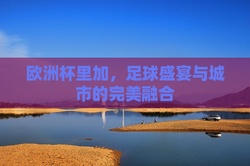 欧洲杯里加，足球盛宴与城市的完美融合  第1张
