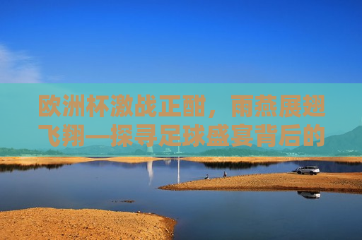 欧洲杯激战正酣，雨燕展翅飞翔—探寻足球盛宴背后的故事