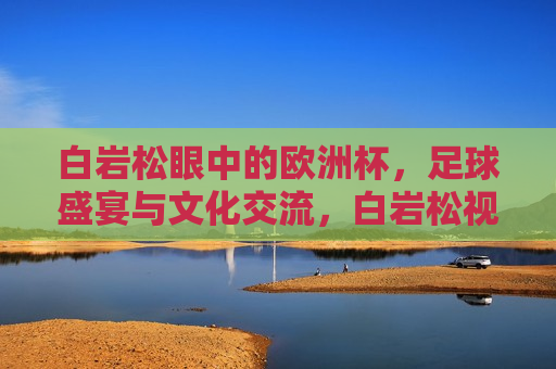 白岩松眼中的欧洲杯，足球盛宴与文化交流，白岩松视角下的欧洲杯，足球盛宴与文化交融，白岩松视角，欧洲杯足球盛宴与文化交融