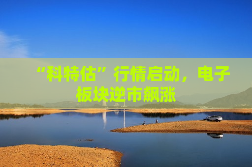 “科特估”行情启动，电子板块逆市飙涨