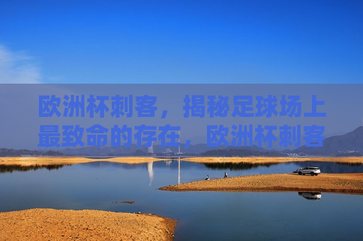 欧洲杯刺客，揭秘足球场上最致命的存在，欧洲杯刺客，足球场上的致命幽灵，欧洲杯刺客，足球场上的致命幽灵