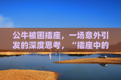公牛被困插座，一场意外引发的深度思考，“插座中的公牛”，一场意外揭示的安全问题深度思考，插座中的危机，公牛被困引发的安全深思  第1张