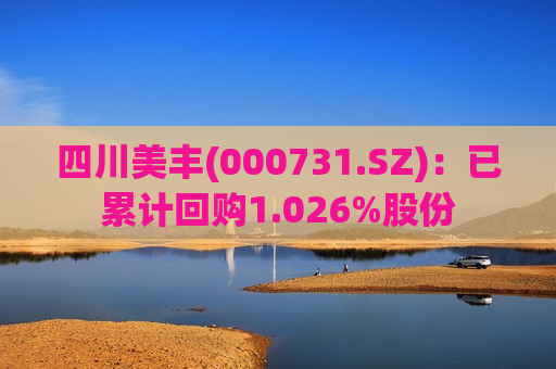 四川美丰(000731.SZ)：已累计回购1.026%股份  第1张