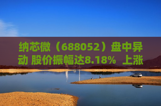 纳芯微（688052）盘中异动 股价振幅达8.18%  上涨7.48%（06-20）