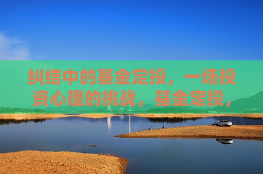 纠结中的基金定投，一场投资心理的挑战，基金定投，纠结与投资的心理博弈，基金定投，投资与纠结的心理博弈