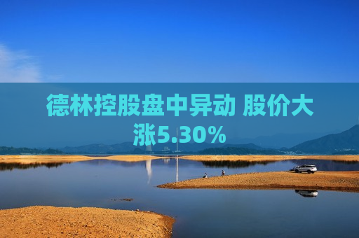 德林控股盘中异动 股价大涨5.30%
