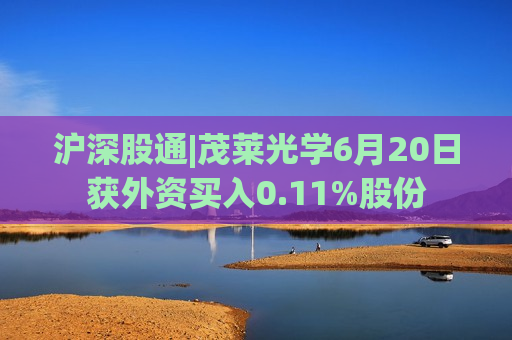 沪深股通|茂莱光学6月20日获外资买入0.11%股份