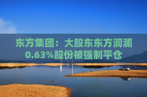 东方集团：大股东东方润澜0.63%股份被强制平仓
