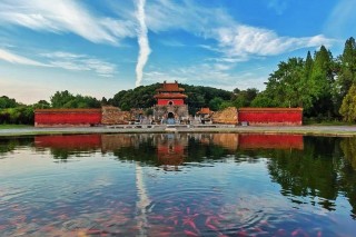 2月6日起，这些旅游业务正式恢复！(2月6日起,这些旅游业务正式恢复营业了吗)