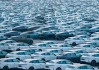 4000亿补贴打底，2025年车市稳了