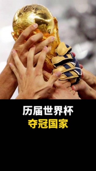 世界杯冠军最多国家(世界杯夺冠最多的国家队)