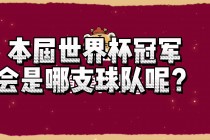 足球世界杯共有32支球队(世界杯足球赛共有几支参赛队)