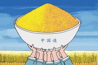 把中国饭碗端得更稳更牢(把中国饭碗端得更稳更牢重)
