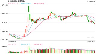 杨德龙：引导中长期资金入市 支持资本市场平稳健康发展