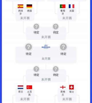 德国欧洲杯购票(欧洲杯德国球址汇)