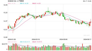 为应对欧盟对华电动汽车加征关税，除了涨价更多品牌考虑本土化生产