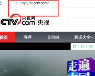电视台在线直播(齐鲁电视台在线直播)