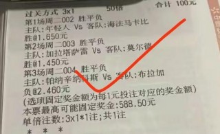 胜平负足彩500网(胜平负足彩500网北单)