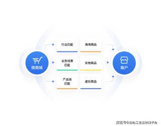 支付宝与微盟，生态连接、全域共赢的简单介绍