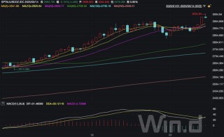 金价冲上3000美元 去年40次破纪录，为何是黄金在闪耀？