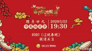 辽宁卫视在线直播(辽宁卫视在线直播观看TV高清)