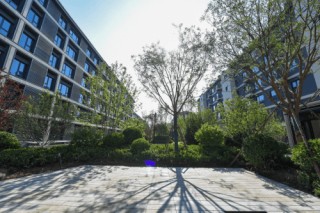“兑现力”彰显“真功夫”丨这个项目举办仲夏品质行活动，有实力更有实料！