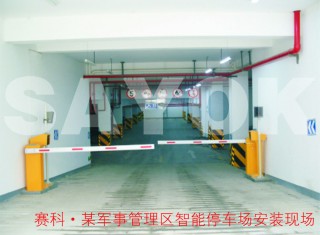 包含安徽智能无人停车系统公司的词条