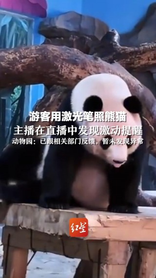游客可进的直播(游客可进的直播 夜月)