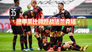莱比锡对法兰克福(莱比锡对法兰克福直播)