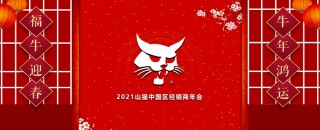 山猫篮球直播在线观看(山猫篮球直播在线观看高清)