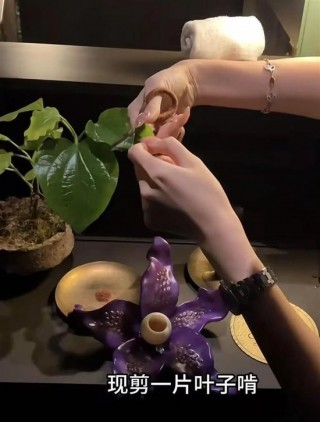 餐厅让食客品尝大象粪便，这符合食品卫生法的要求吗？
