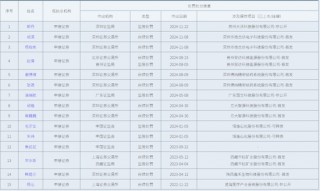 “消失”的 C 类保代高管|中信证券