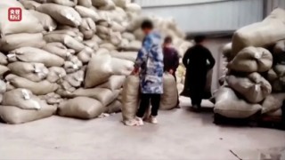 “翻新卫生巾”热搜之一！315晚会曝光：残次料被翻新“二次销售”，涉事公司注册资本仅1万