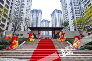 房地产纾困中的七大怪象的简单介绍