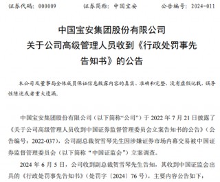 监管出手！北交所之一股贝特瑞董事长，“栽了”！原因曝光