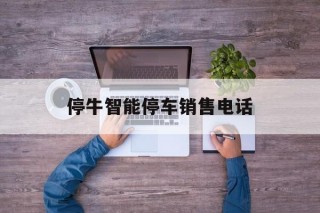 停牛智能停车销售 *** (情景智能停车位置怎样打开)