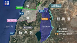 黎 *** 党首度回应阿萨德政权终结 叙过渡 *** 面临两难抉择