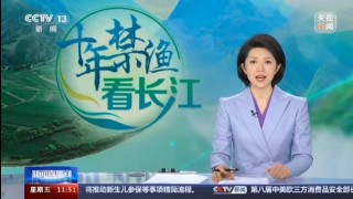 中央电视台直播(中央电视台直播维也纳新年音乐会)