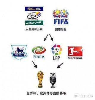 欧洲杯世界杯关系(欧洲杯世界杯的区别)