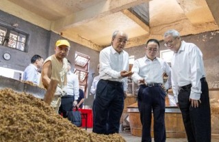 茅台集团张德芹带队考察古井集团，双方想在更高维度上实现共赢发展？