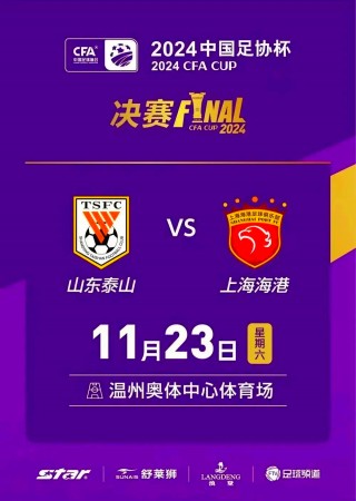 山东足协杯赛程(山东足协官网首页)
