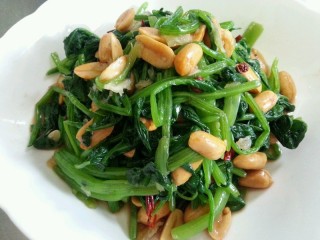 欧洲杯菠菜(菠菜的营养元素)