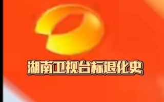 湖南卫视官网入口(湖南卫视官网入口网页版回放)