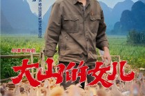 广西卫视在线直播观看(广西卫视在线直播观看节目表)