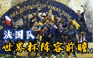 法国世界杯阵容(06年法国世界杯阵容)