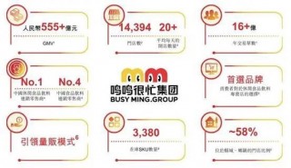 鸣鸣很忙递表港交所，99.5%收入来自商品销售与加盟共赢
