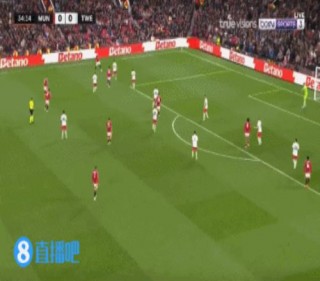 nba无插件体育直播(nba无插件直播体育吧)