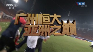 恒大亚冠决赛2013视频回放的简单介绍